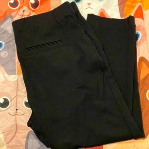 Ann Taylor Pull On Pants